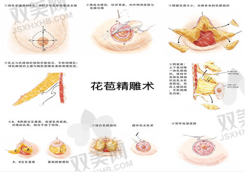 花苞<span style=