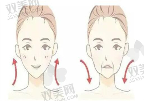 苹果肌复位术价格表