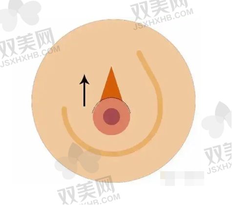六、成功实例