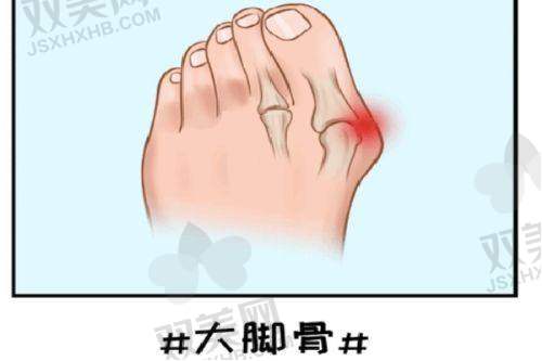 真实用户的使用体验