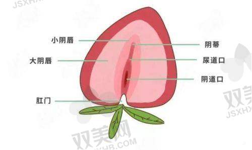 自然唇