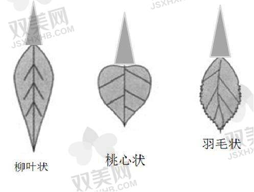 月牙唇