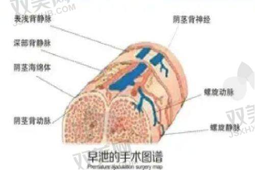 全文总结