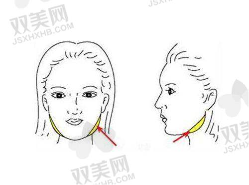 价格详细叙述