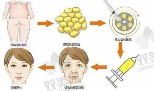 全文总结