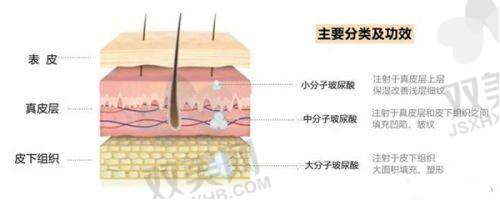 广州医选医疗美容价格总结与资讯引导