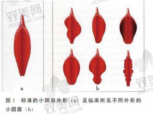 【西安大美医疗美容医院擅长什么项目】