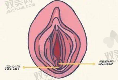 了解爱芙莱玻尿酸大小分子区别