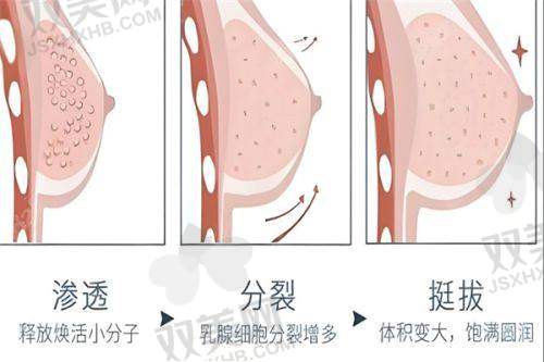 总结一下：美波婷是“魅力型丰胸”，又美又稳！