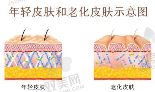 隆胸价格背后的魅力