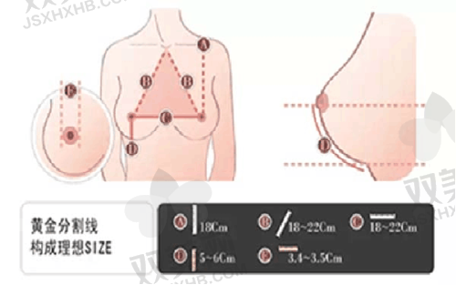 优惠亮点解读