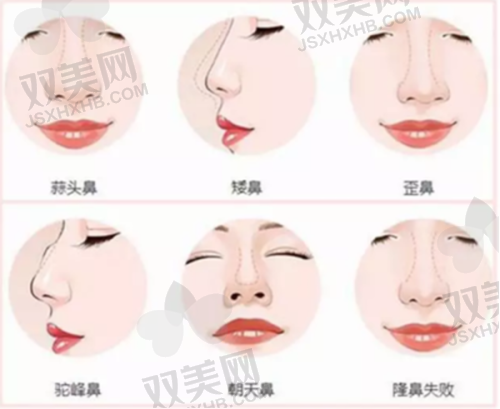 全文总结与资讯引导