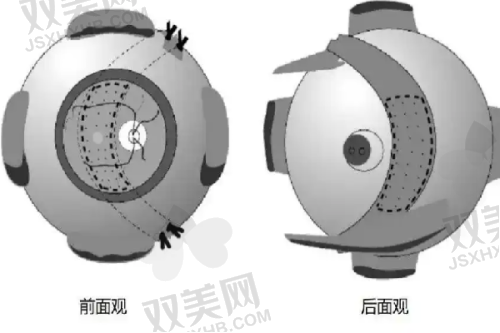 2. 品牌维度