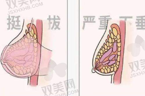 【东莞美立方医疗美容医院是私立还是公办】