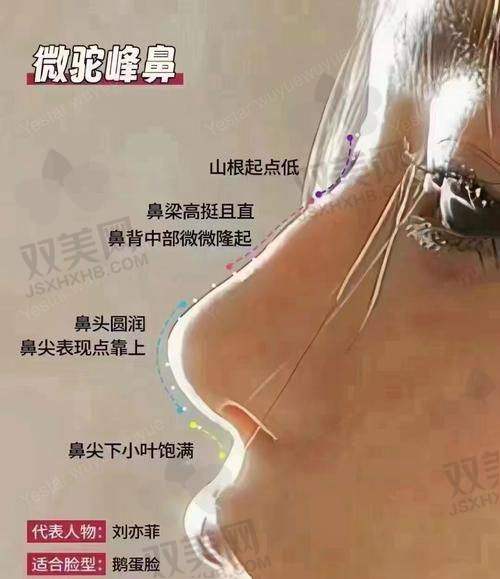 20年鼻整界老司机，到底值不值信赖？