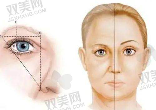 全文总结与行动号召