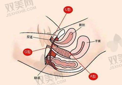 【普宁安琪医疗美容医院怎么预约挂号】