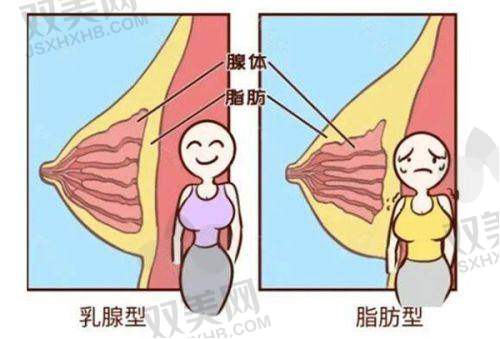 项目价格具体叙述