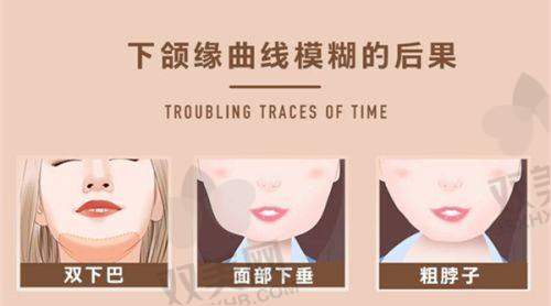 官网信息的重要性及查询方法