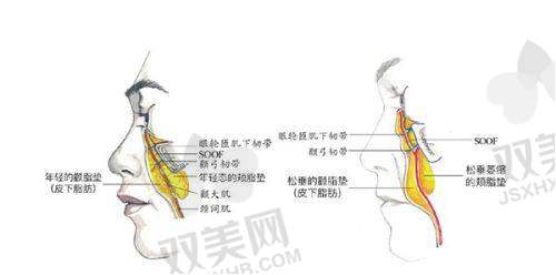 【钦州华美医疗美容医院擅长什么项目】