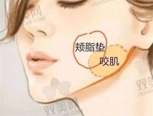 【海南华大医疗美容门诊部是私立还是公办】