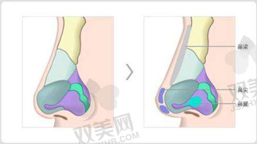 【海口星之美（莱美俪格）医疗美容医院地址及乘车路线】