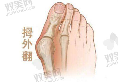全文总结