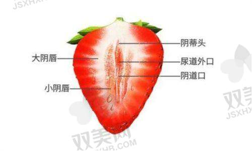 超体Transplus的产地信息