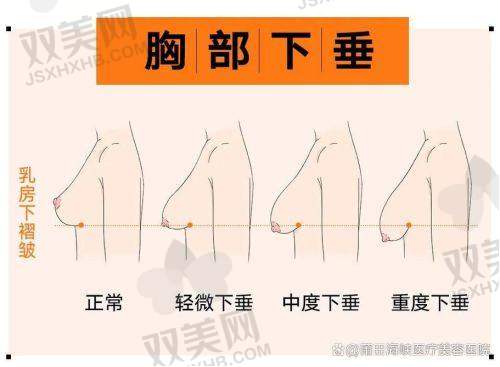 价格公开透明，适合不同需求人群