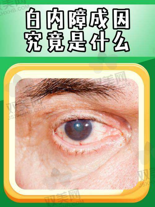 总结与询问建议