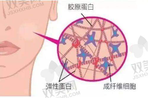 去除嘴角法令纹的价格区间