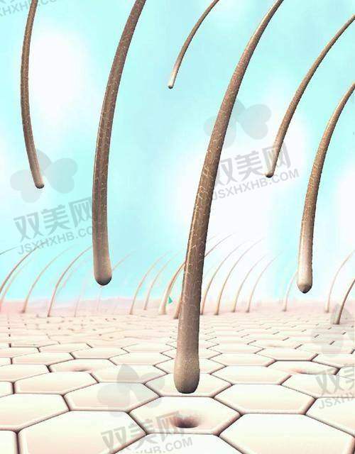【昆明精东植发医院营业时间是什么时候】