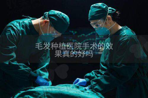 写在末尾：珠海碧莲盛到底适不适合你？