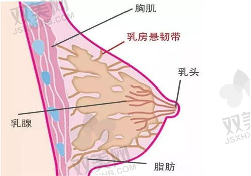 花29800在重庆艺星找朱家旭做IMF舒适丰胸，他隆鼻咋样？案例说话！