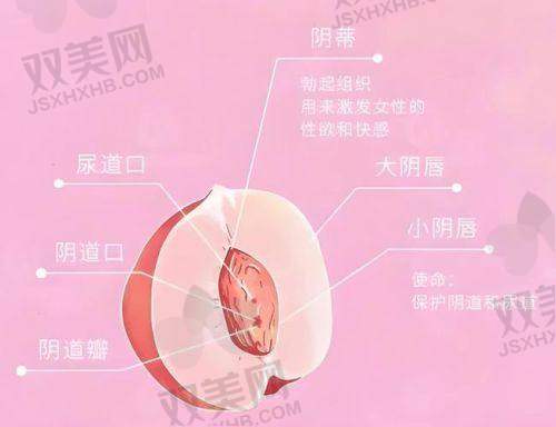 三、价格背后的“逻辑戏码”，你被骗的可能不在表面