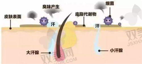 结节形成