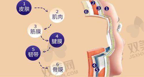 全文总结