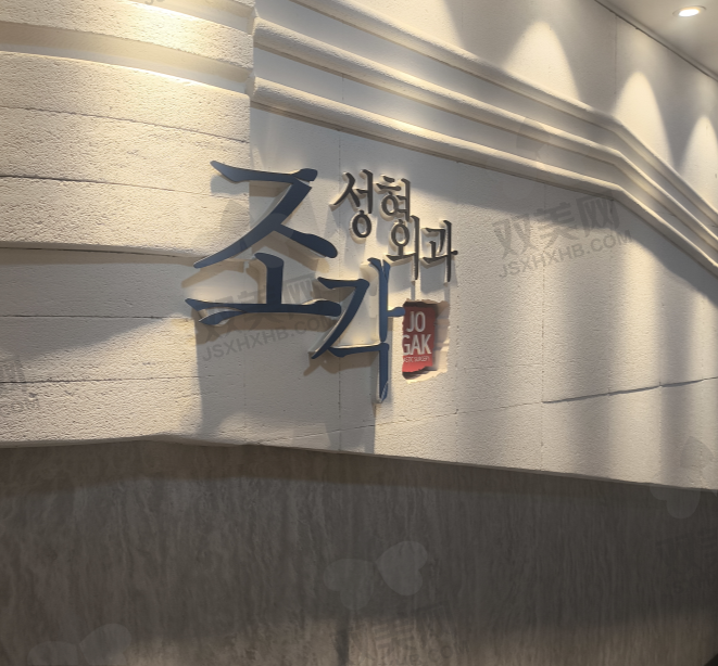 韩国雕刻整形外科