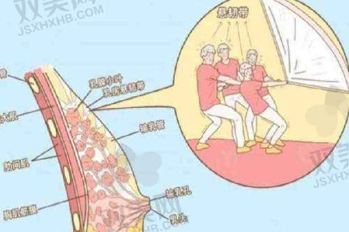 泰国丰胸针duoton的成效如何