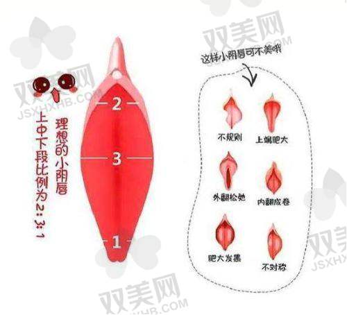广州建国医院私密科擅长什么项目？