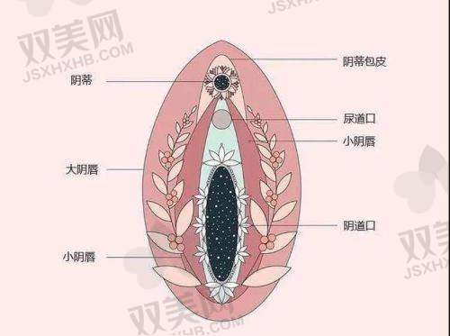 广州建国医院私密科地址及乘车路线