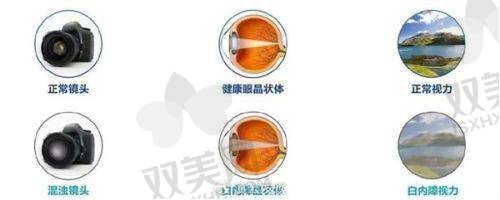 王薇医生预约挂号