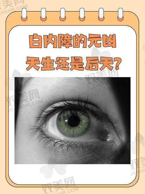 王薇医生擅长项目