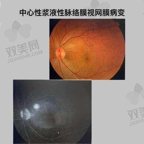 马志中医生荣誉资质