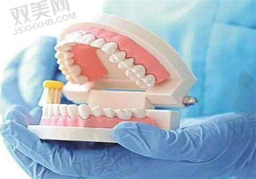 2024 - 2025年不同类型烤瓷牙价格范围