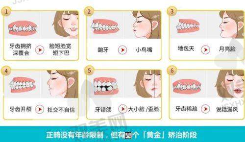 一颗牙的价格