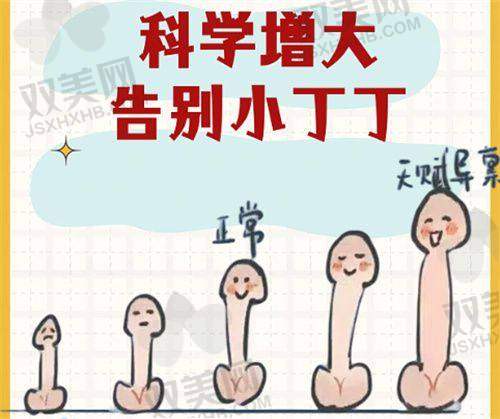 傲诺拉璀璨假体的市场口碑