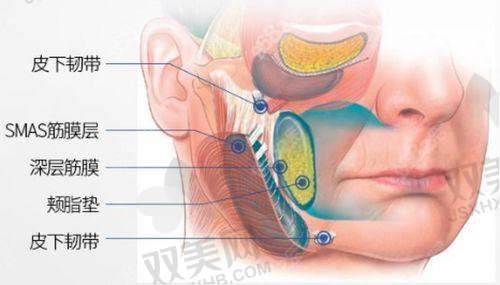 【深圳南雅医疗美容门诊部电话号码是多少】