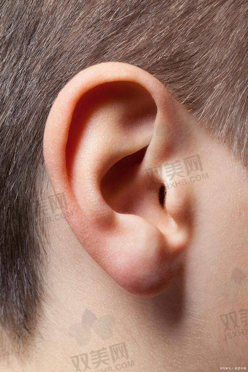 价格优势:性价比极高