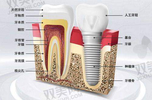 【北京维恩口腔安贞和平总院电话号码是多少】